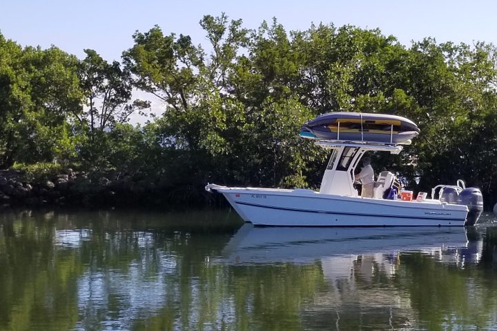 a small boat in a body of water