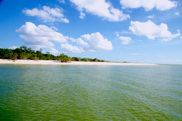 a large body of water