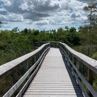 walkway over florida everglades