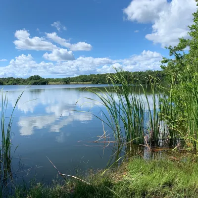 view of Everglades lake from shore