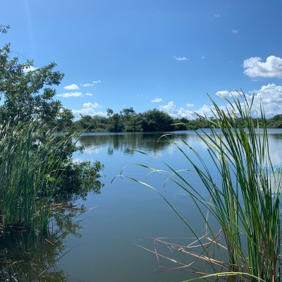 florida everglades