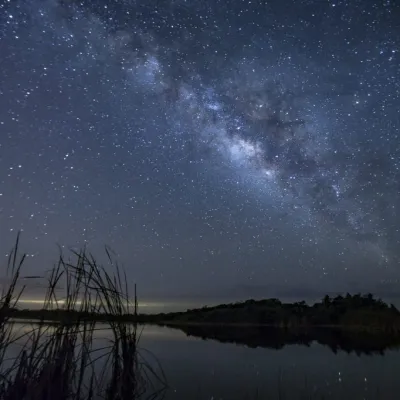 night sky over the everglades