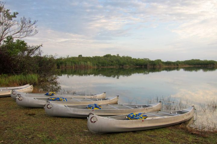 canoes on the shore