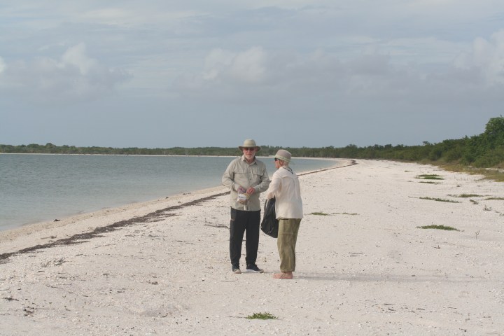 Two people in hats standing on a sandy beach near the water, surrounded by greenery.