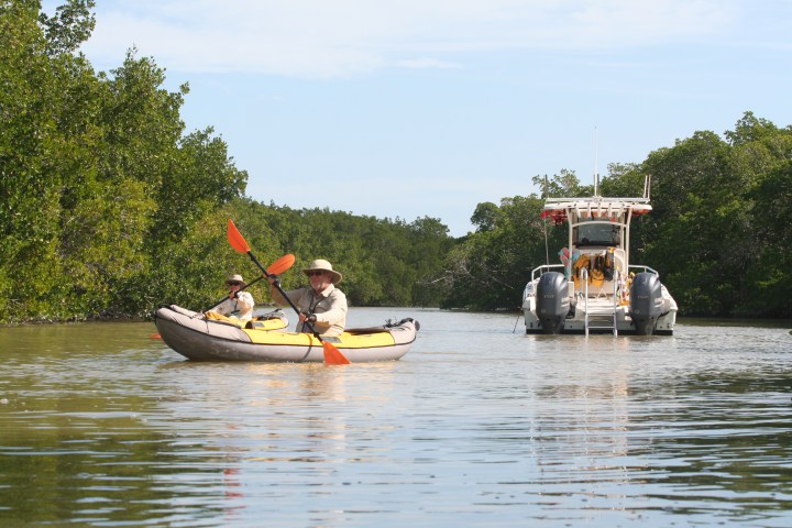 Two people kayaking in a mangrove area with a motorboat in the background on a sunny day.