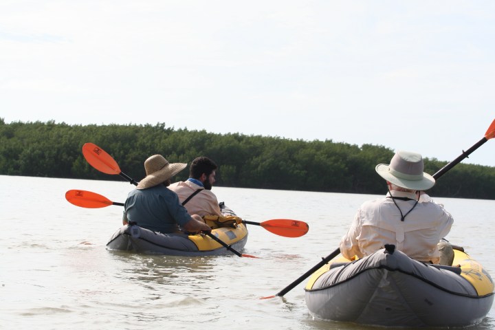 Three people kayaking on a calm river with green banks under a clear sky.