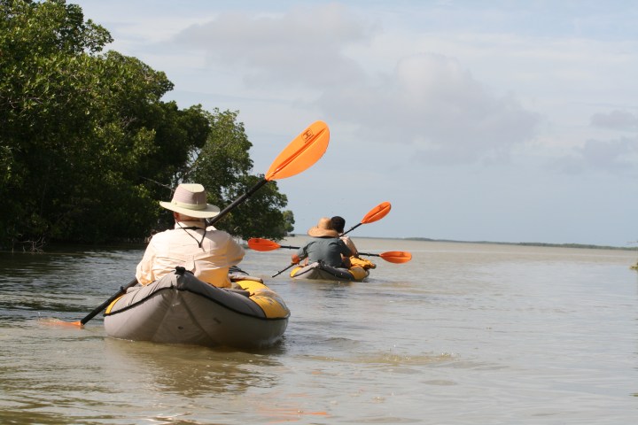 Two people kayaking on a calm river surrounded by lush green trees under a clear sky.