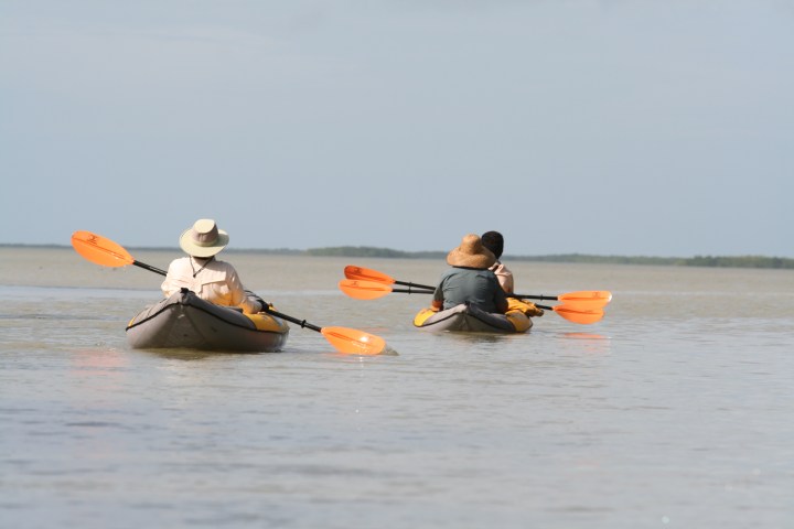 Two people kayaking on calm water with orange paddles, wearing hats.