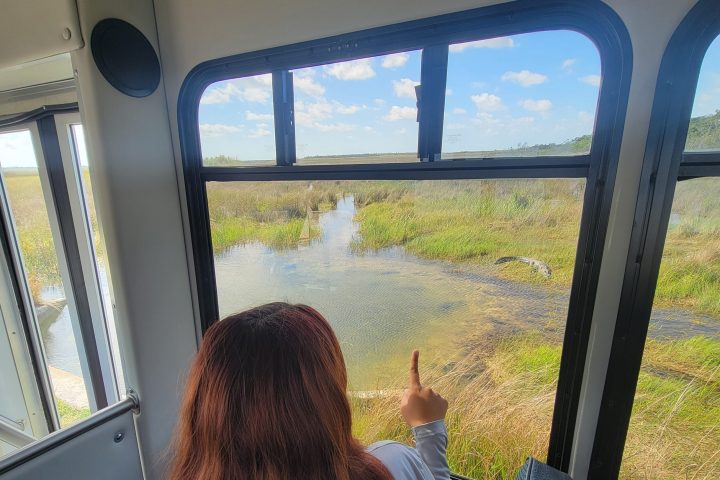 a person standing in front of a window