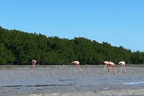 a group of people on a beach