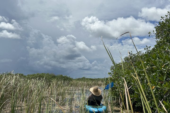 a person in a kayak