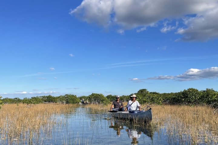 two people in a canoe paddling over clear water