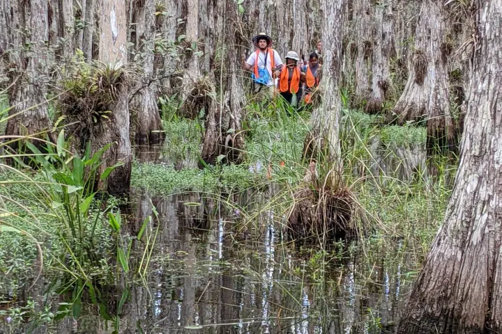 a group of people in a forest