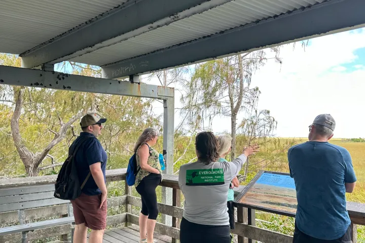 a group of people standing next to a fence