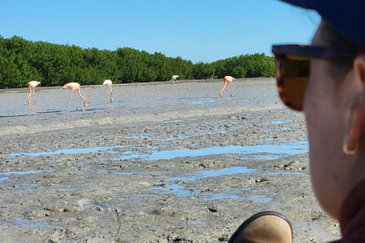 a person sitting on a beach