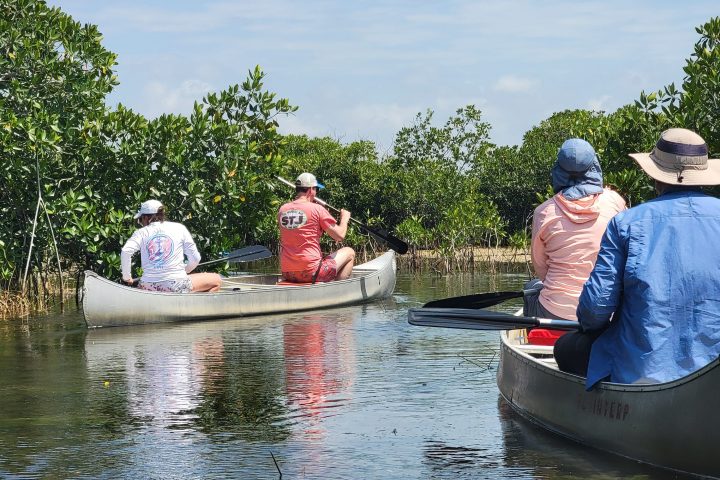 a group of people riding on the back of a boat in the water
