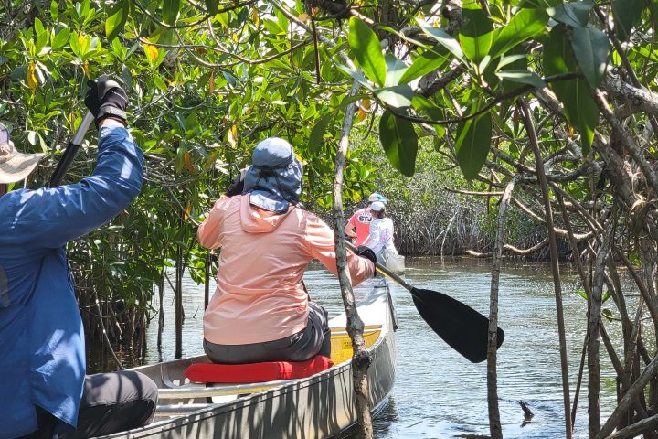a man riding on the back of a boat next to a tree