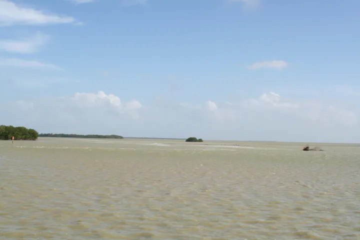 a large body of water