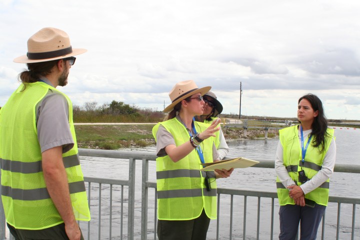 a group of people standing next to a fence