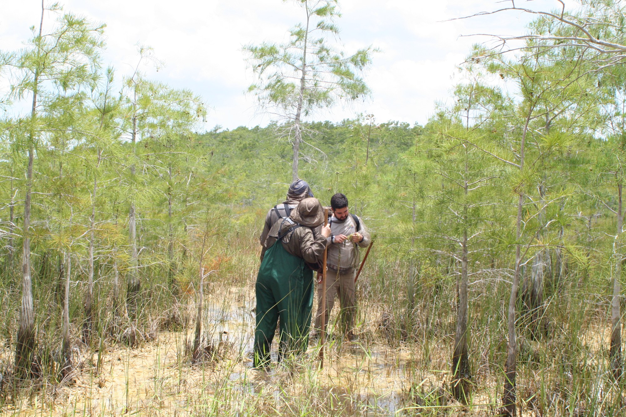 IMG_0010 Two people in a marshy area with trees, wearing outdoor gear, examining a device or instrument.