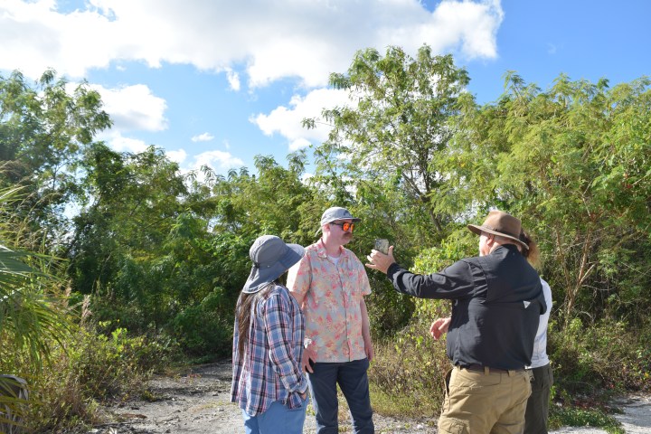 Four people in hats talking outdoors with trees and blue sky in the background.