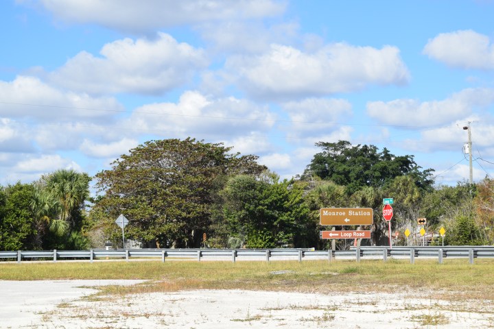 Road sign for Monroe Station with trees and clouds in the background.